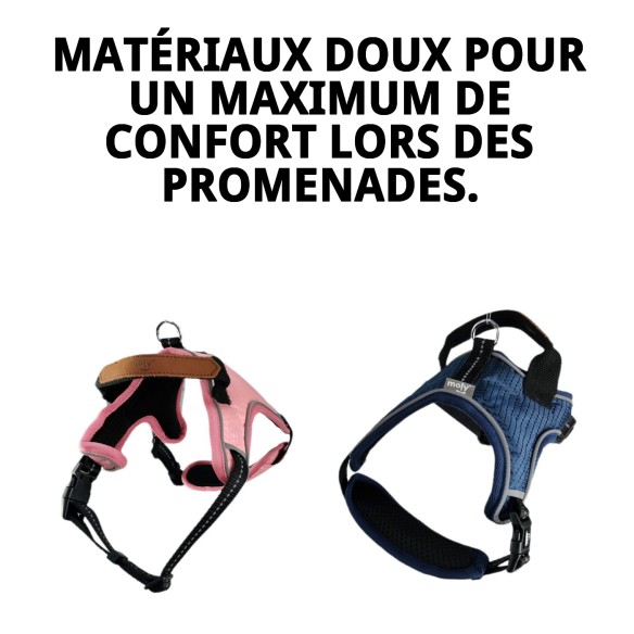 Harnais Confort Moly Bleu/Rose Taille S pour votre Animal de Compagnie