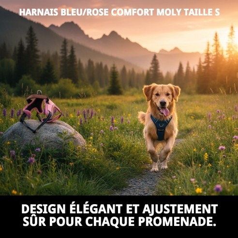 Harnais Confort Moly Bleu/Rose Taille S pour votre Animal de Compagnie