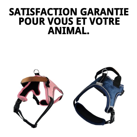 Harnais Confort Moly Bleu/Rose Taille S pour votre Animal de Compagnie