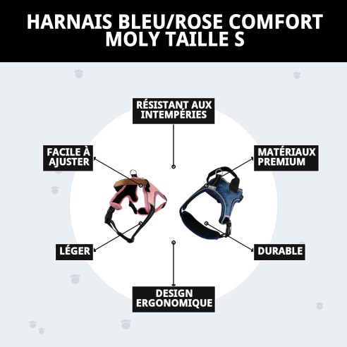 Harnais Confort Moly Bleu/Rose Taille S pour votre Animal de Compagnie