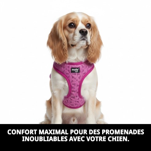 Harnais Violet Confort New S : Confort et Style pour votre Animal de Compagnie