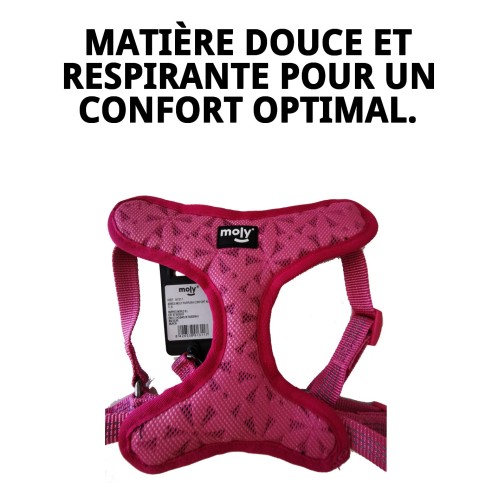 Harnais Violet Confort New S : Confort et Style pour votre Animal de Compagnie