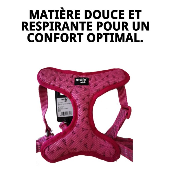 Harnais Violet Confort New S : Confort et Style pour votre Animal de Compagnie