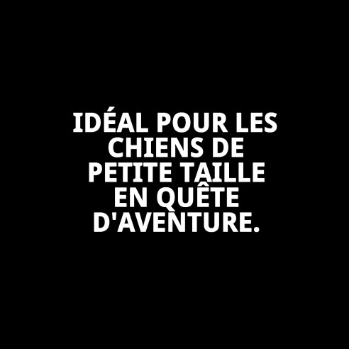 Harnais Violet Confort New S : Confort et Style pour votre Animal de Compagnie