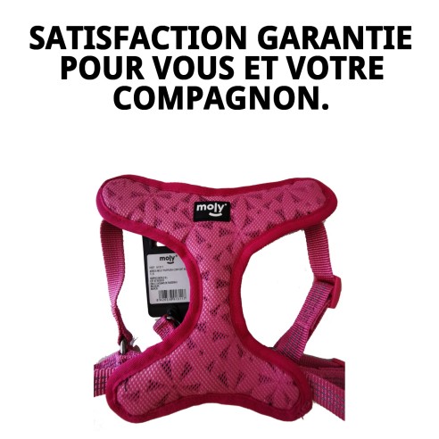 Harnais Violet Confort New S : Confort et Style pour votre Animal de Compagnie