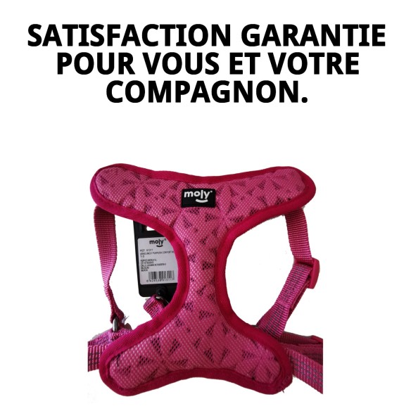 Harnais Violet Confort New S : Confort et Style pour votre Animal de Compagnie