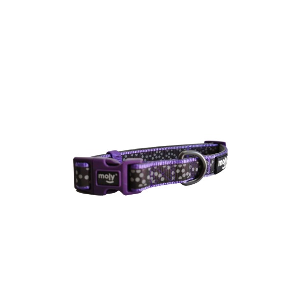 Collier Réfléchissant en Nylon et Néoprène pour Chiens XS