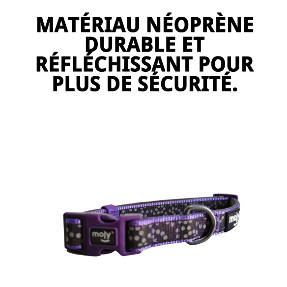 Collier Réfléchissant en Nylon et Néoprène pour Chiens XS