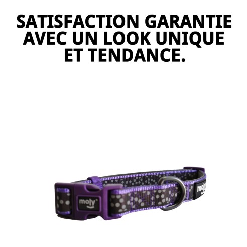 Collier Réfléchissant en Nylon et Néoprène pour Chiens XS