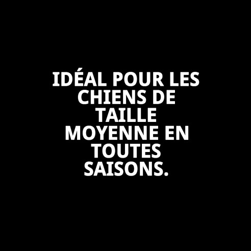 Collier en néoprène réfléchissant M pour animaux de compagnie sûrs et stylés.
