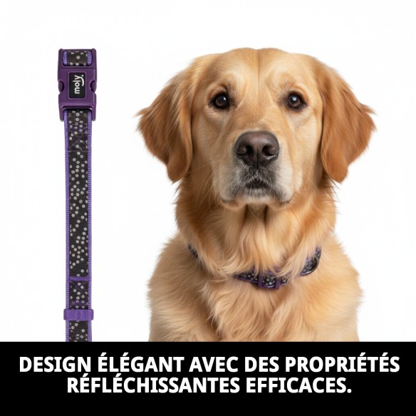 Collier en néoprène réfléchissant M pour animaux de compagnie sûrs et stylés.