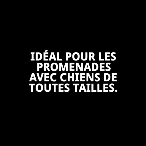 Ramal en nylon néoprène réfléchissant Burbuja pour des promenades en toute sécurité.