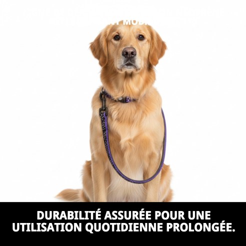 Ramal en nylon néoprène réfléchissant Burbuja pour des promenades en toute sécurité.