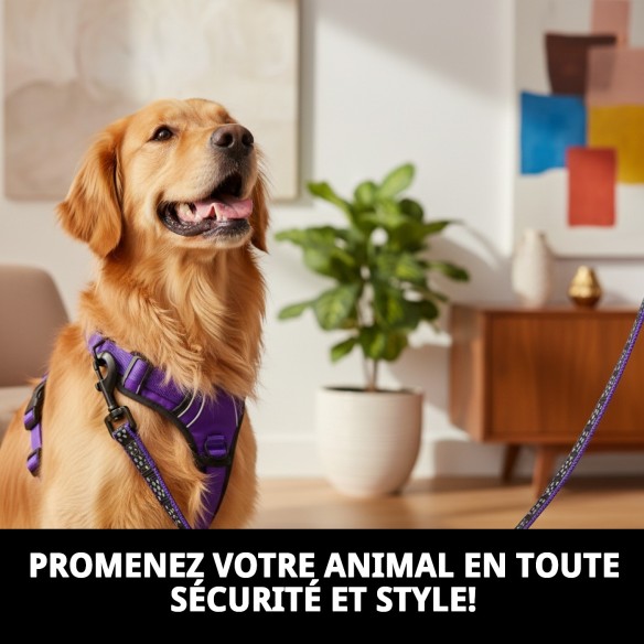 Ramal réfléchissant en nylon néoprène Mod. Bulb pour animaux de compagnie