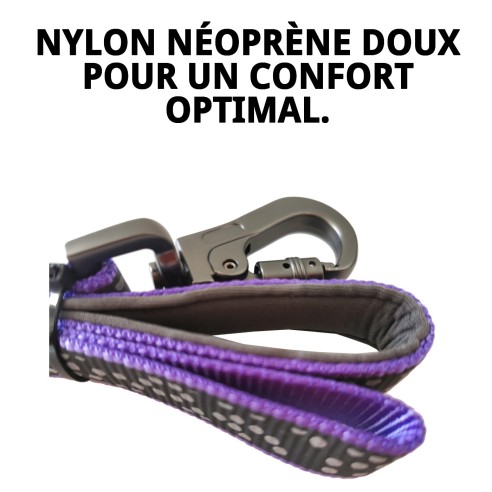 Ramal réfléchissant en nylon néoprène Mod. Bulb pour animaux de compagnie