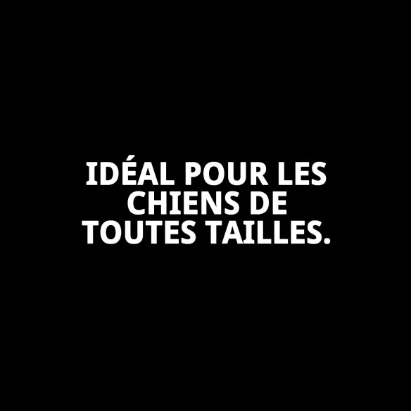 Ramal réfléchissant en nylon néoprène Mod. Bulb pour animaux de compagnie