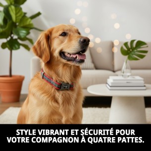 Collier Moly Néoprène Rainbow Reflect T-S pour Animaux de Compagnie 2