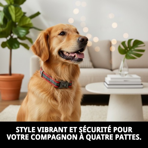 Collier Moly Néoprène Rainbow Reflect T-S pour Animaux de Compagnie