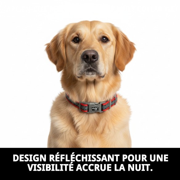 Collier Moly Néoprène Rainbow Reflect T-S pour Animaux de Compagnie