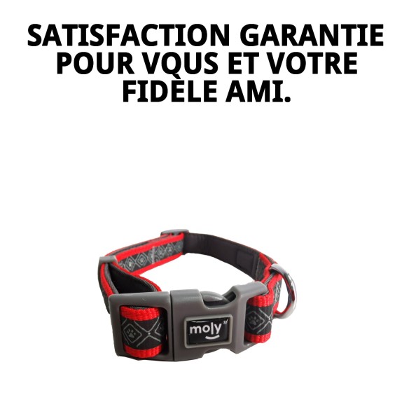 Collier Moly Néoprène Rainbow Reflect T-S pour Animaux de Compagnie