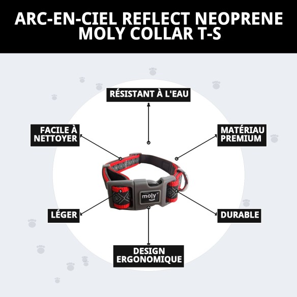 Collier Moly Néoprène Rainbow Reflect T-S pour Animaux de Compagnie