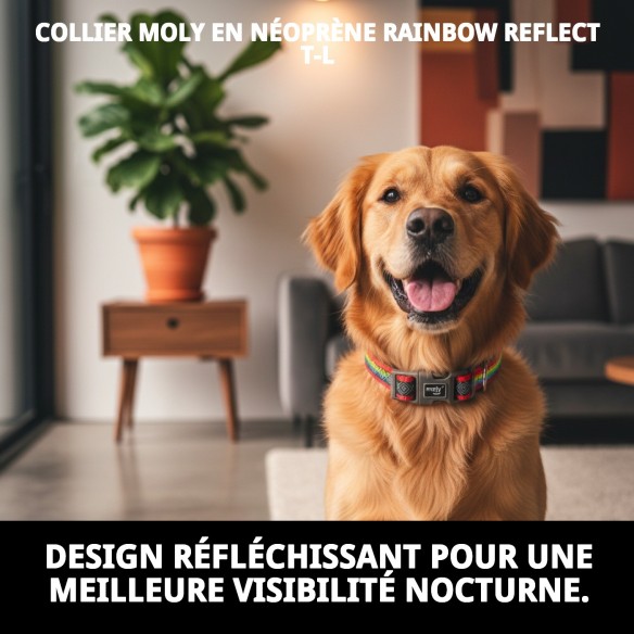 Collier Moly Néoprène Rainbow Reflect T-L pour Animaux de Compagnie