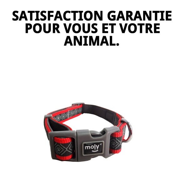 Collier Moly Néoprène Rainbow Reflect T-L pour Animaux de Compagnie