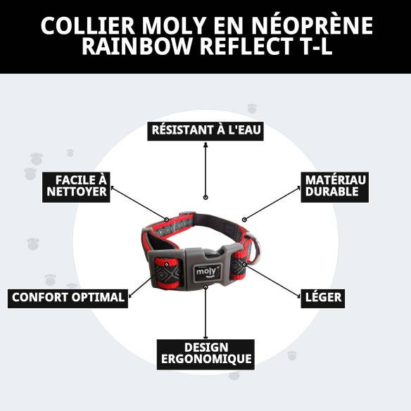 Collier Moly Néoprène Rainbow Reflect T-L pour Animaux de Compagnie