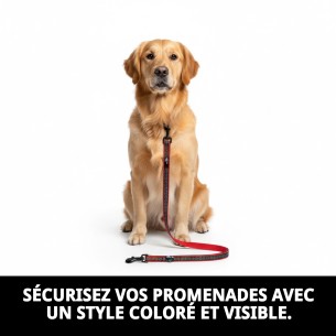 Ramal Moly Néoprène Rainbow Reflect T-S pour Animaux de Compagnie 2