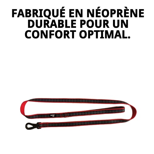 Ramal Moly Néoprène Rainbow Reflect T-S pour Animaux de Compagnie