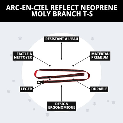 Ramal Moly Néoprène Rainbow Reflect T-S pour Animaux de Compagnie