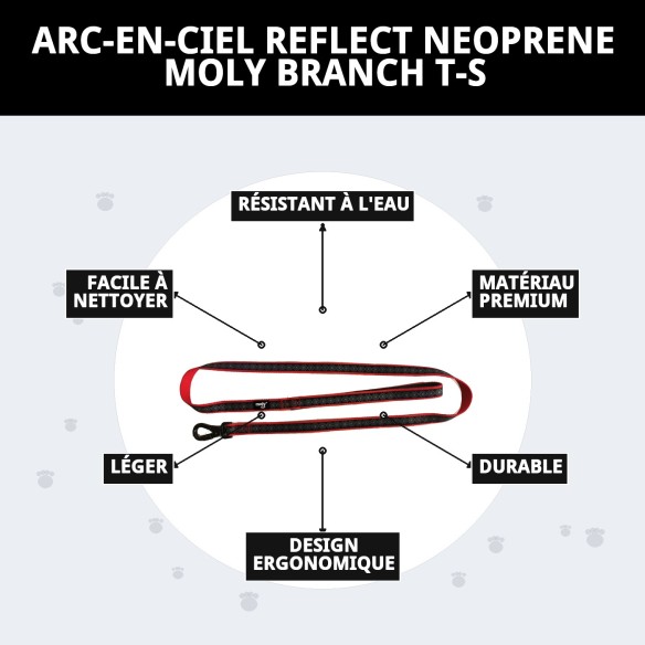Ramal Moly Néoprène Rainbow Reflect T-S pour Animaux de Compagnie