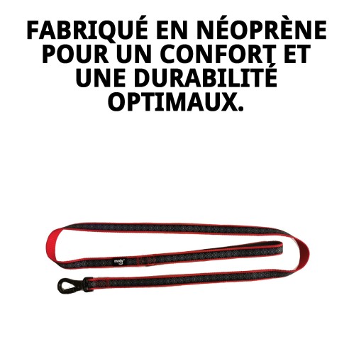 Ramal Moly Néoprène Rainbow Reflect T-L pour Animaux de Compagnie