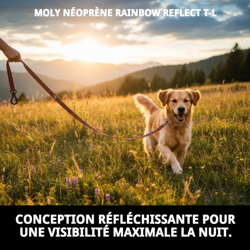 Ramal Moly Néoprène Rainbow Reflect T-L pour Animaux de Compagnie