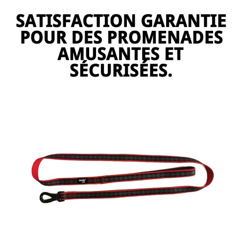 Ramal Moly Néoprène Rainbow Reflect T-L pour Animaux de Compagnie