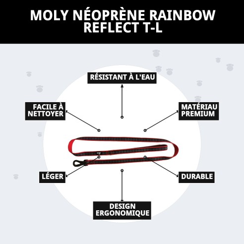 Ramal Moly Néoprène Rainbow Reflect T-L pour Animaux de Compagnie
