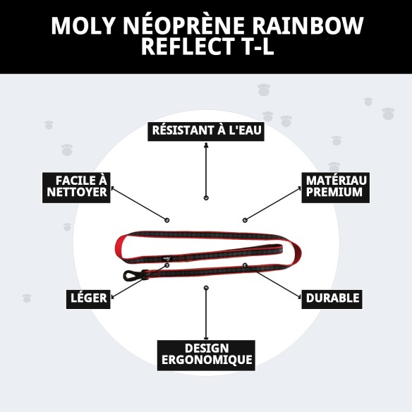 Ramal Moly Néoprène Rainbow Reflect T-L pour Animaux de Compagnie