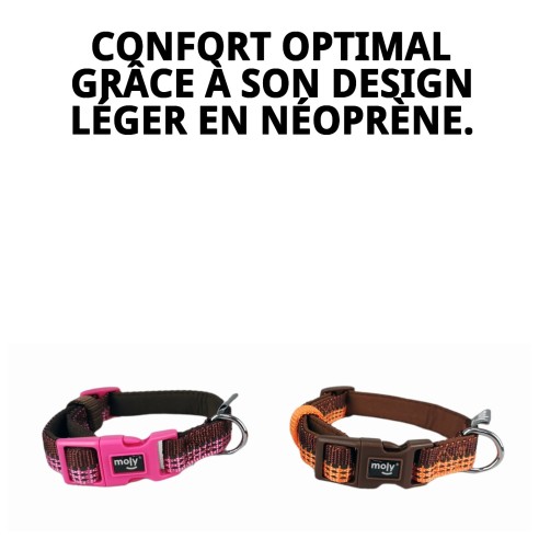 Collier Moly en néoprène nylon réfléchissant XS pour animaux de compagnie