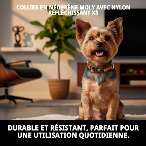 Collier Moly en néoprène nylon réfléchissant XS pour animaux de compagnie