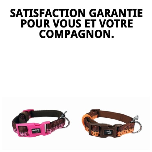 Collier Moly en néoprène nylon réfléchissant XS pour animaux de compagnie