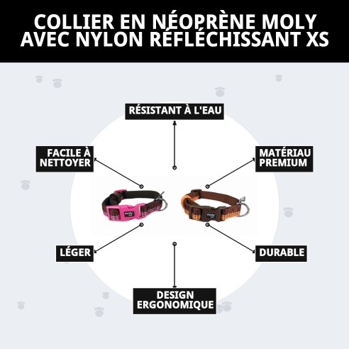 Collier Moly en néoprène nylon réfléchissant XS pour animaux de compagnie