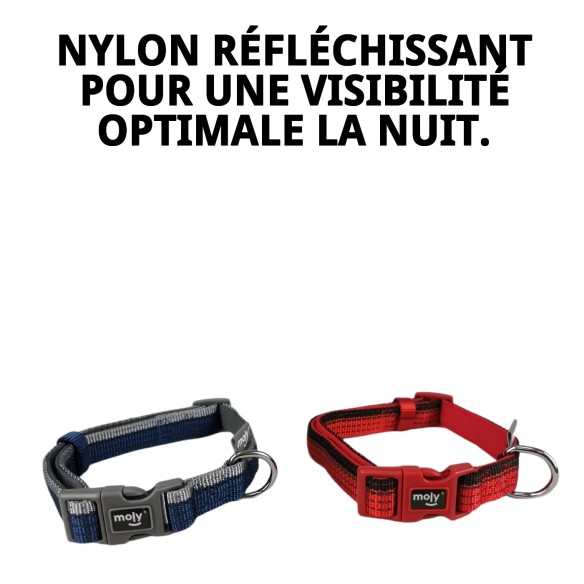 Collier Moly Néoprène Réfléchissant Taille M | Style et Sécurité