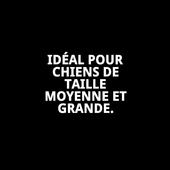 Collier Moly Néoprène Réfléchissant Taille M | Style et Sécurité