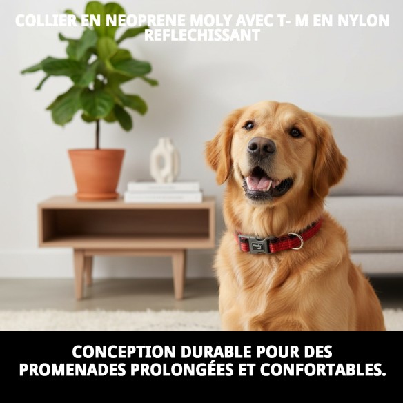 Collier Moly Néoprène Réfléchissant Taille M | Style et Sécurité
