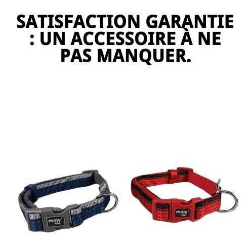 Collier Moly Néoprène Réfléchissant Taille M | Style et Sécurité