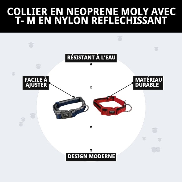 Collier Moly Néoprène Réfléchissant Taille M | Style et Sécurité