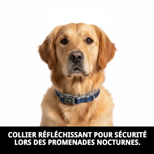 Collier Moly Néoprène Réfléchissant T-L pour Animaux de Compagnie