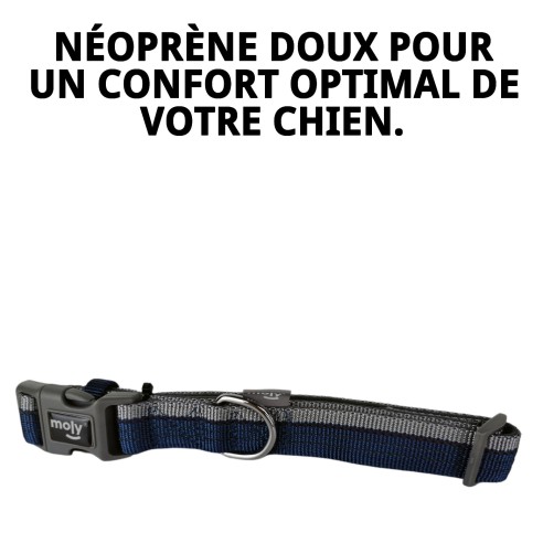 Collier Moly Néoprène Réfléchissant T-L pour Animaux de Compagnie