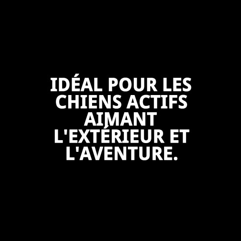 Collier Moly Néoprène Réfléchissant T-L pour Animaux de Compagnie