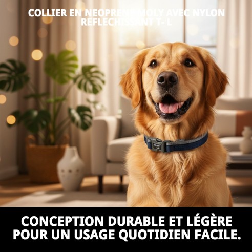 Collier Moly Néoprène Réfléchissant T-L pour Animaux de Compagnie